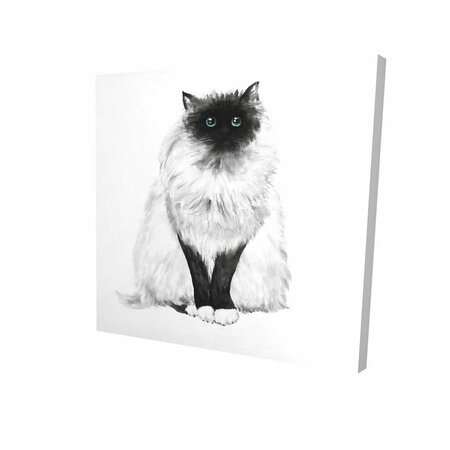 FONDO 16 x 16 in. Blue Eyes Fluffy Siamese Cat-Print on Canvas FO2791982